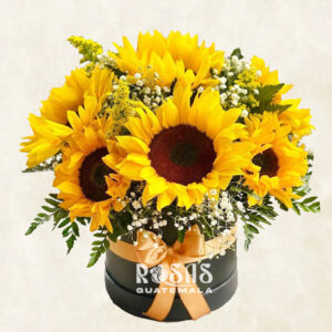 Arreglos florales de girasoles a domicilio